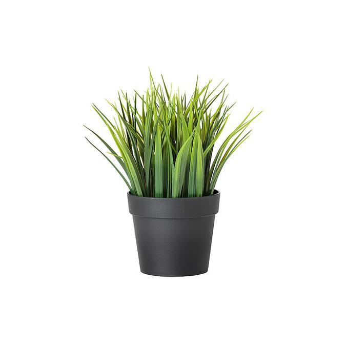 Искусственное растение Grass фотография