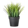 Искусственное растение Grass