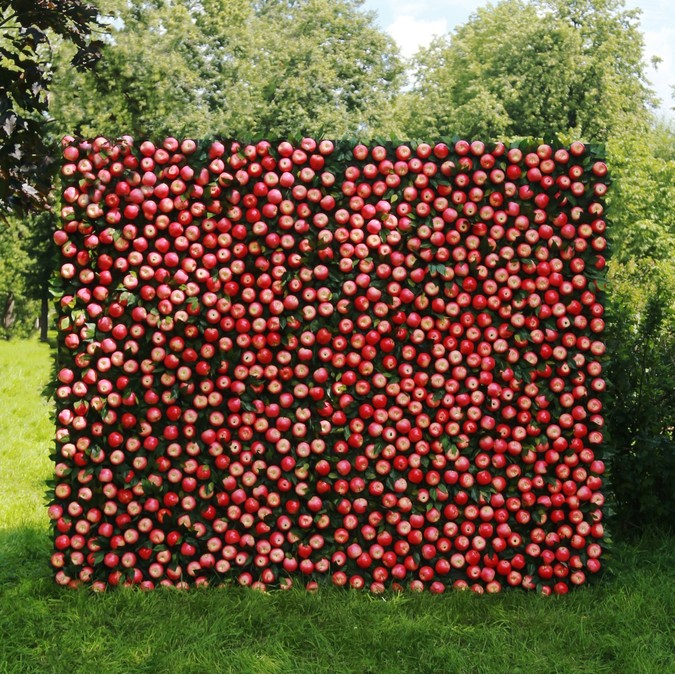 Фотозона Apple Orchard фотография
